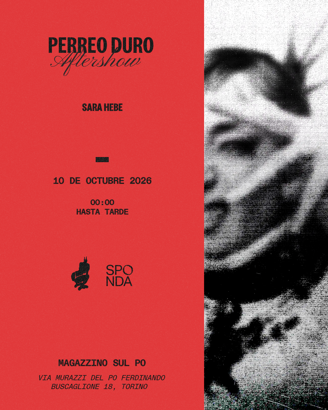 PERREO DURO